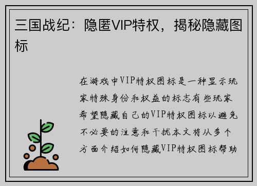 三国战纪：隐匿VIP特权，揭秘隐藏图标