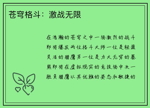 苍穹格斗：激战无限